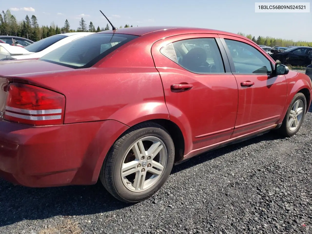 2009 Dodge Avenger Sxt VIN: 1B3LC56B09N524521 Lot: 56211685