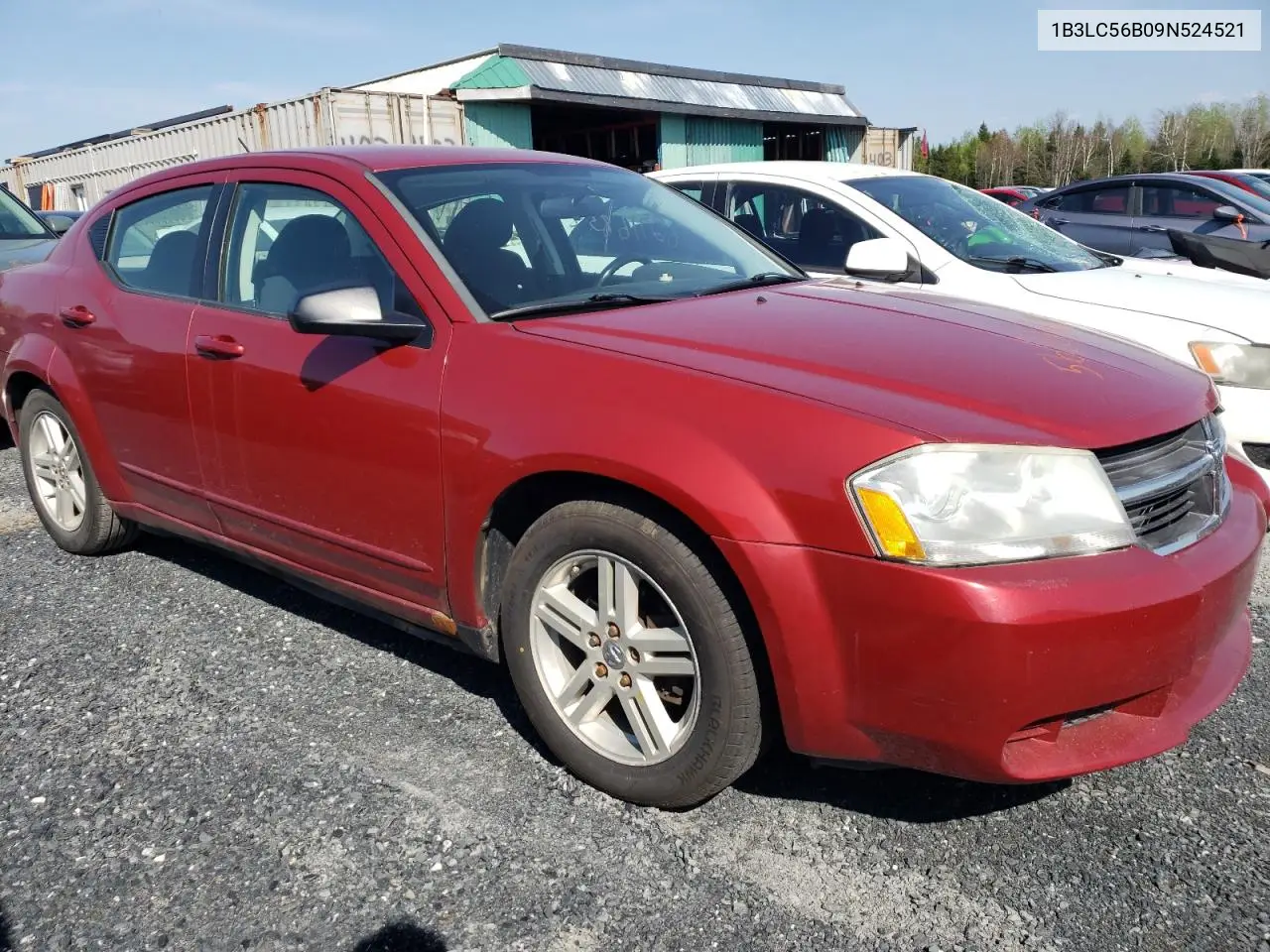 2009 Dodge Avenger Sxt VIN: 1B3LC56B09N524521 Lot: 56211685