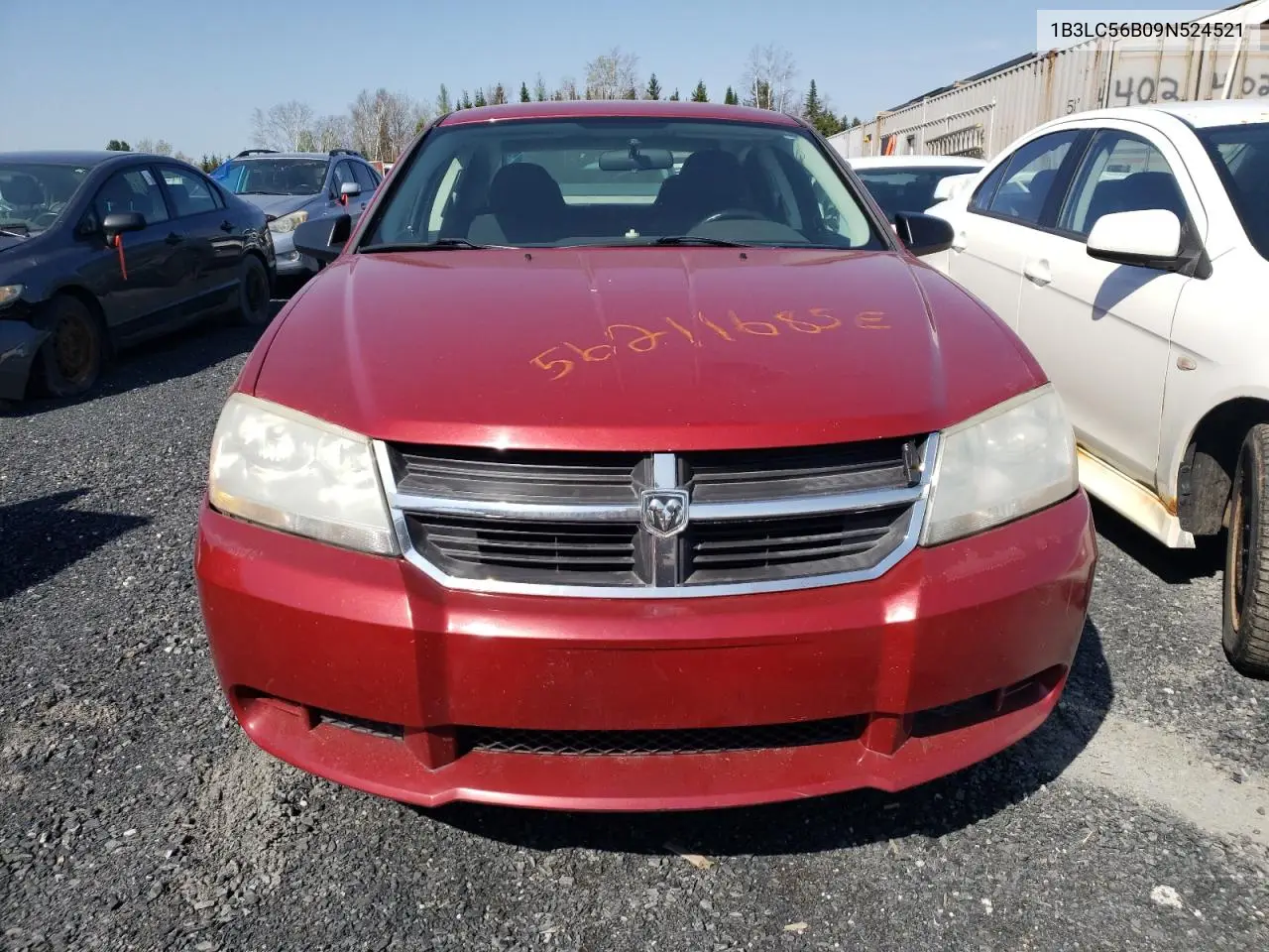 2009 Dodge Avenger Sxt VIN: 1B3LC56B09N524521 Lot: 56211685