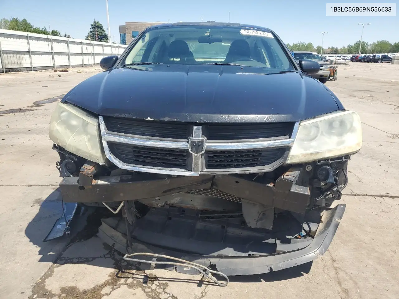 2009 Dodge Avenger Sxt VIN: 1B3LC56B69N556633 Lot: 56706235