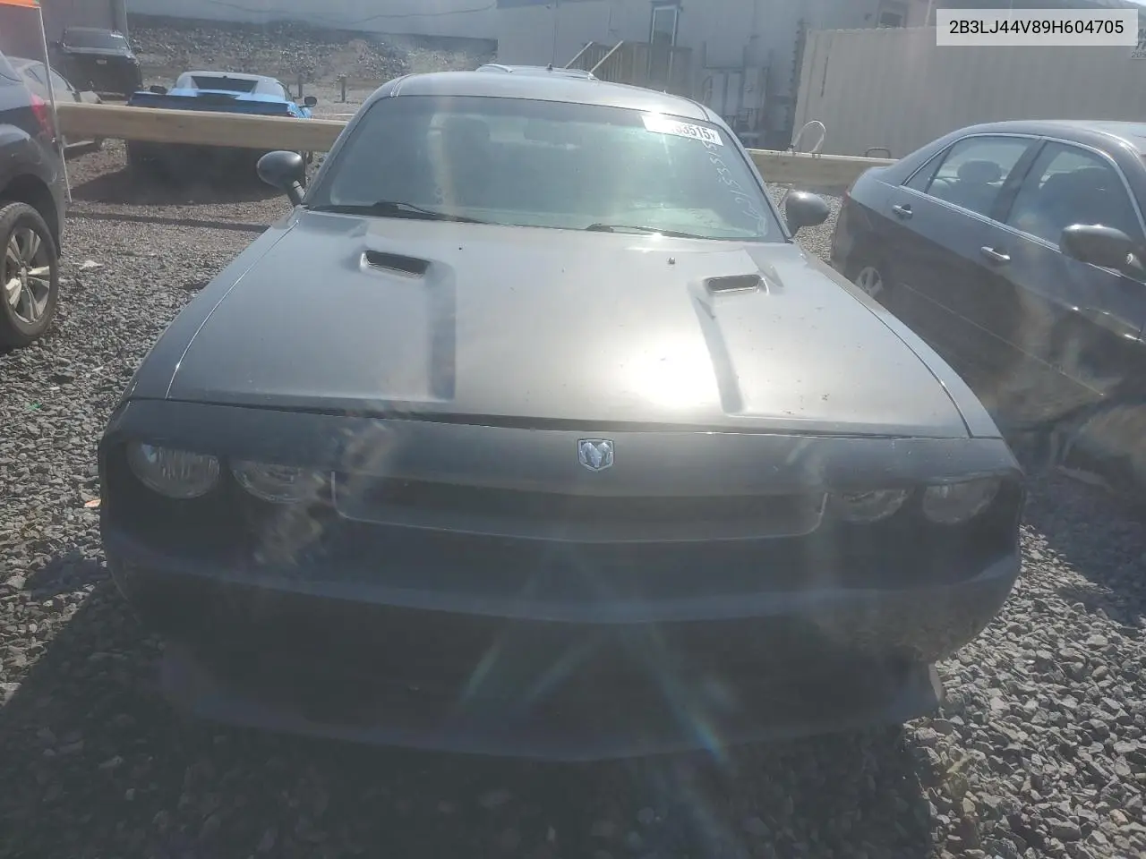 2009 Dodge Challenger Se VIN: 2B3LJ44V89H604705 Lot: 62153515