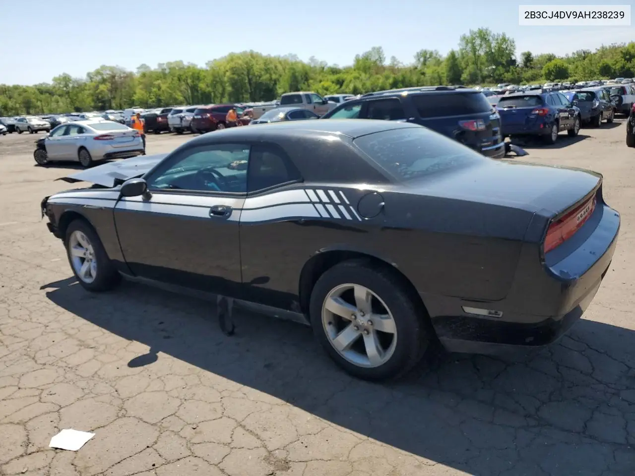 2010 Dodge Challenger Se VIN: 2B3CJ4DV9AH238239 Lot: 55926125