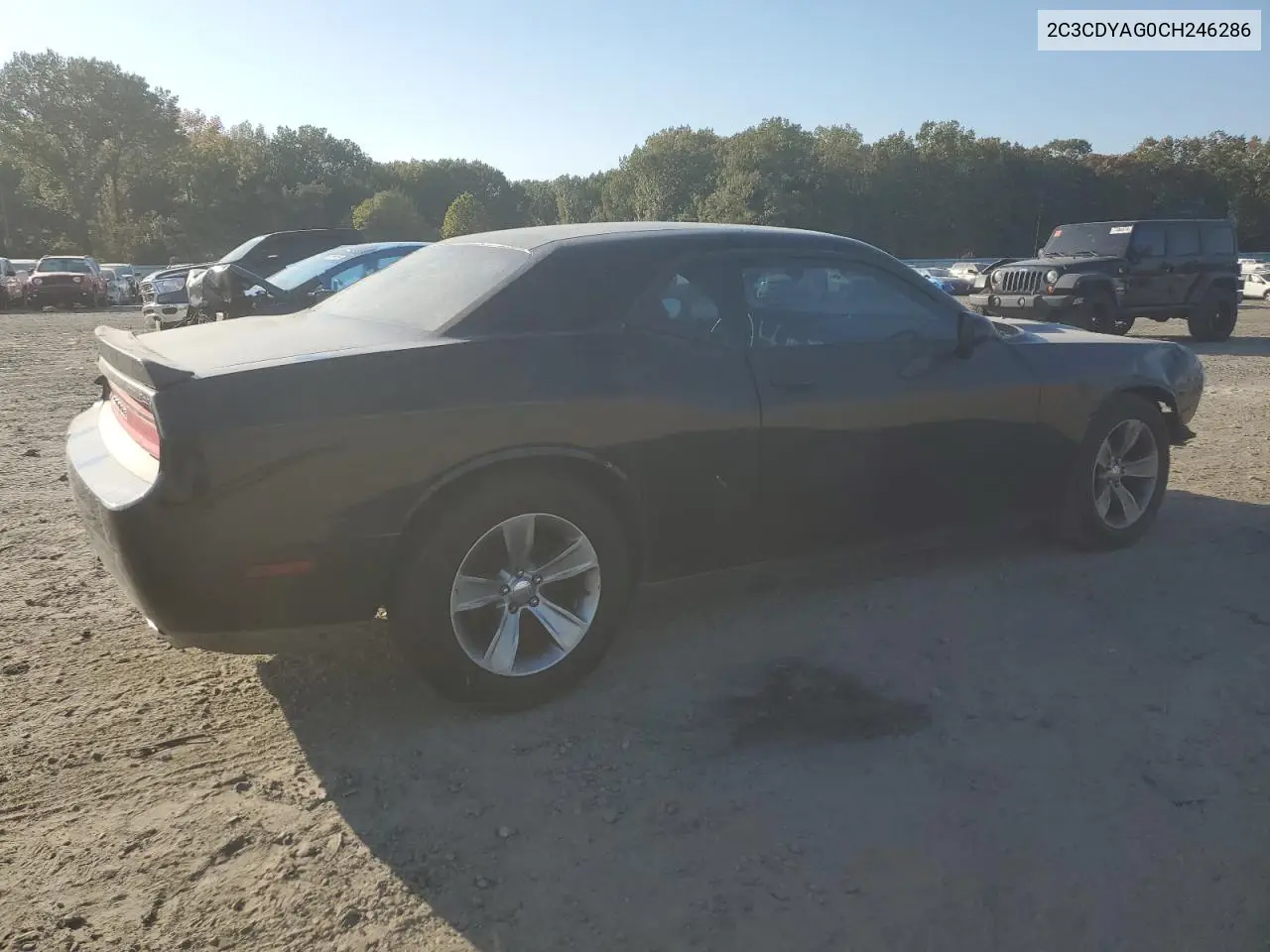 2012 Dodge Challenger Sxt VIN: 2C3CDYAG0CH246286 Lot: 54122565