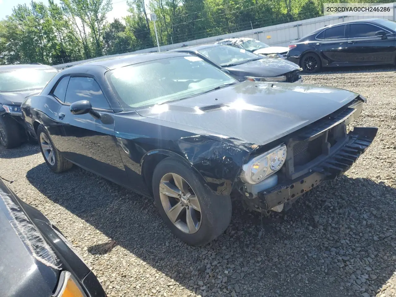 2012 Dodge Challenger Sxt VIN: 2C3CDYAG0CH246286 Lot: 54122565