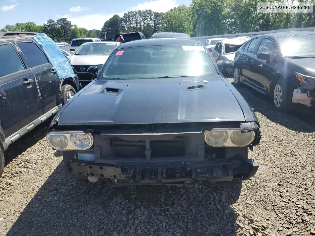 2012 Dodge Challenger Sxt VIN: 2C3CDYAG0CH246286 Lot: 54122565