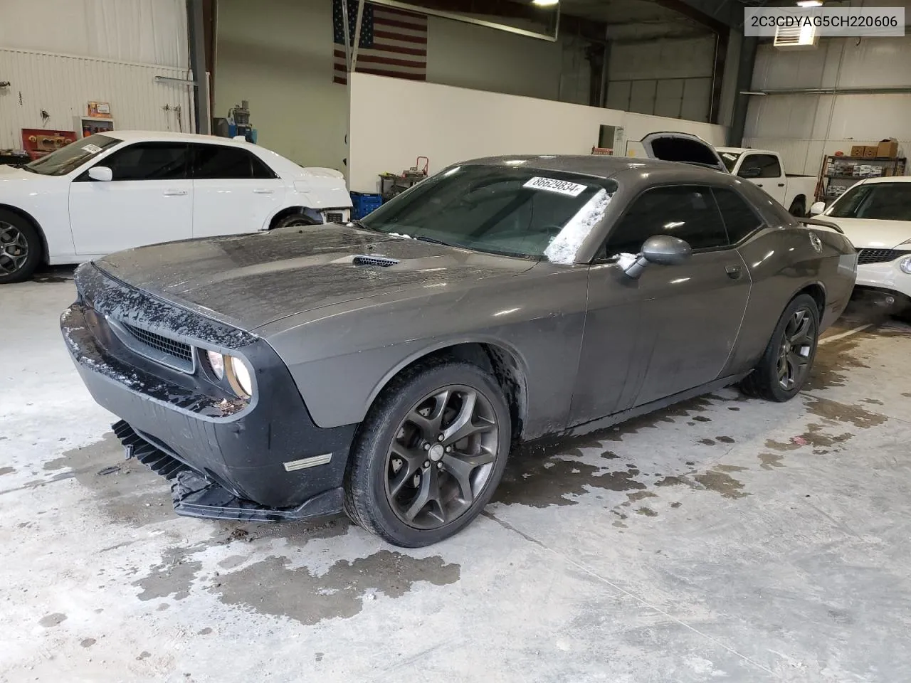 2012 Dodge Challenger Sxt VIN: 2C3CDYAG5CH220606 Lot: 86629834