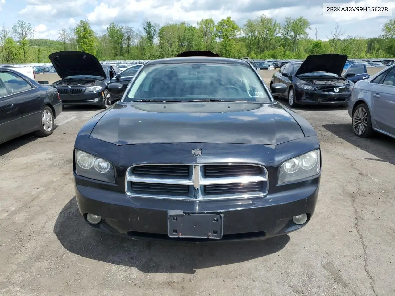 2009 Dodge Charger Sxt VIN: 2B3KA33V99H556378 Lot: 56139055