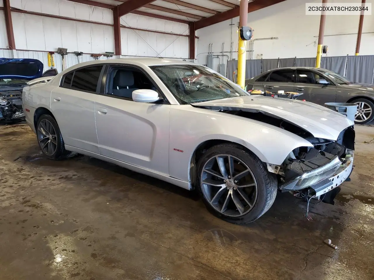 2012 Dodge Charger Police VIN: 2C3CDXAT8CH230344 Lot: 55970325