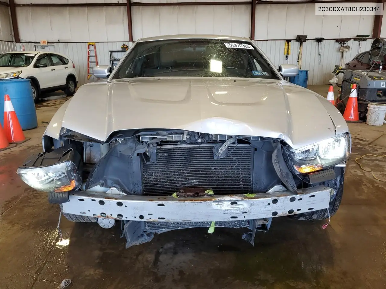 2012 Dodge Charger Police VIN: 2C3CDXAT8CH230344 Lot: 55970325