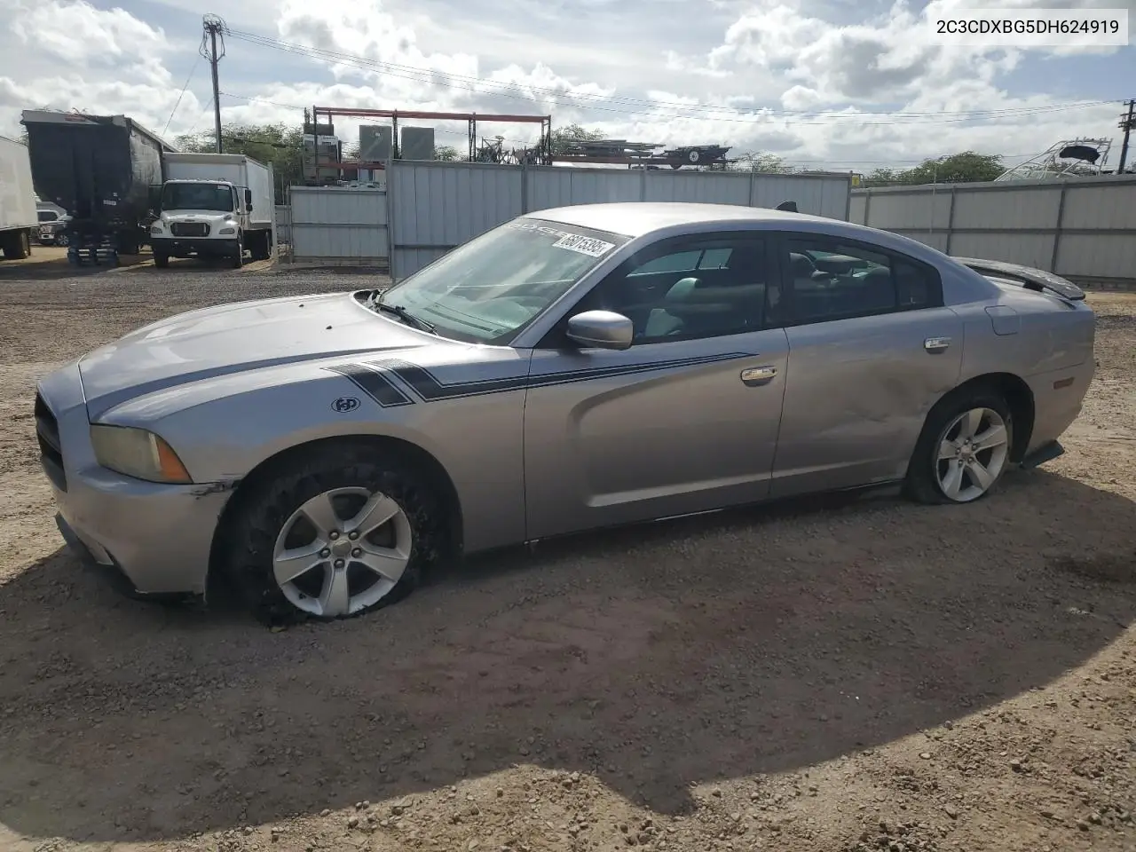 2013 Dodge Charger Se VIN: 2C3CDXBG5DH624919 Lot: 66015395