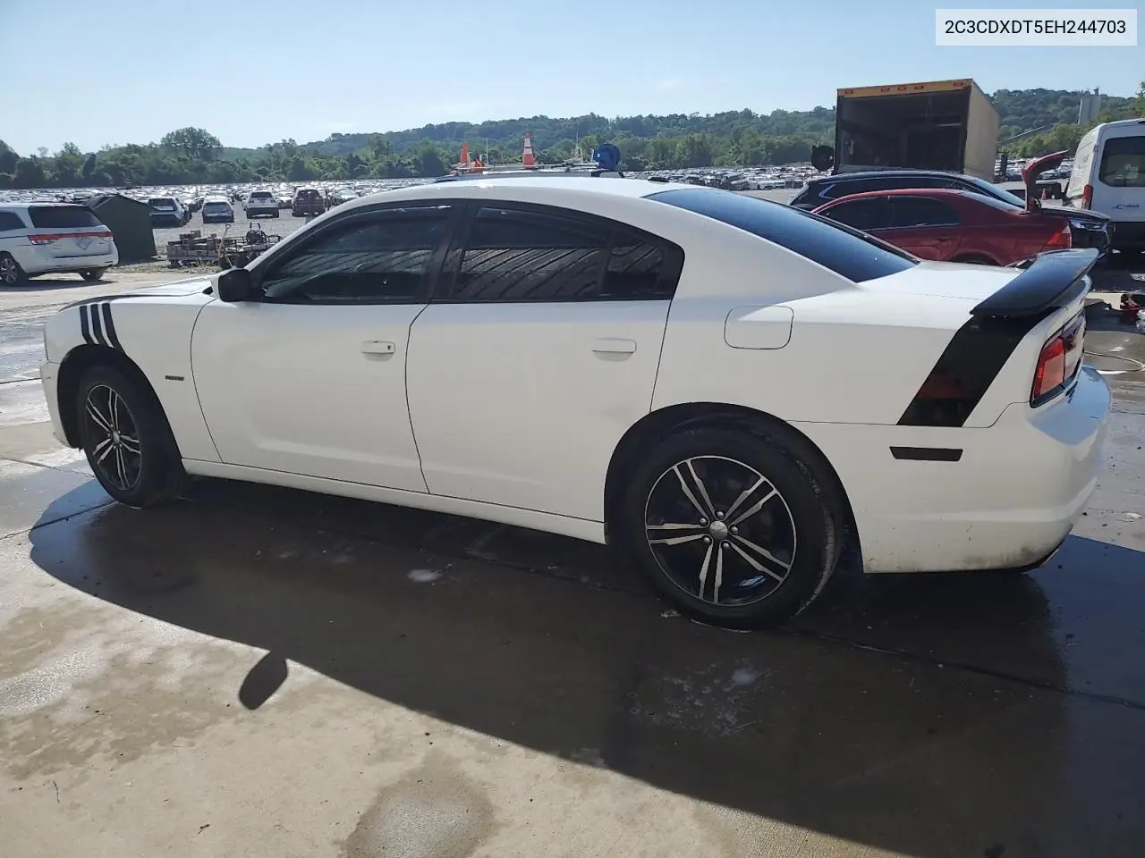 2014 Dodge Charger R/T VIN: 2C3CDXDT5EH244703 Lot: 62769255