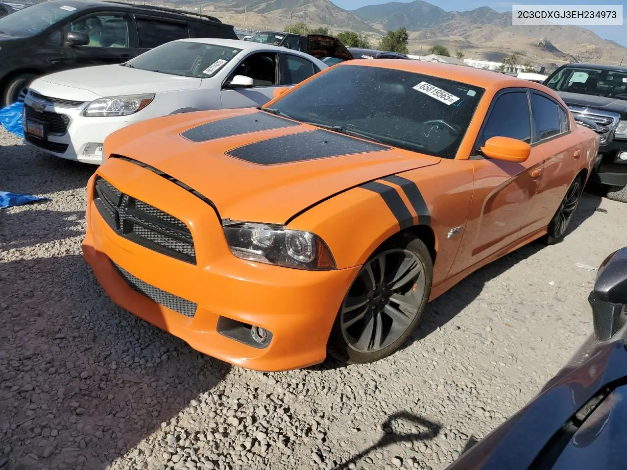 2014 Dodge Charger Super Bee VIN: 2C3CDXGJ3EH234973 Lot: 65819565