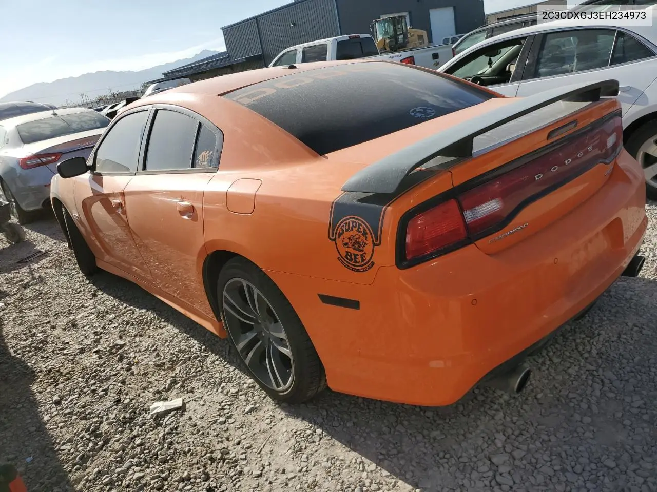 2014 Dodge Charger Super Bee VIN: 2C3CDXGJ3EH234973 Lot: 65819565