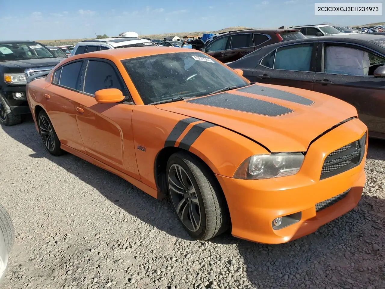 2014 Dodge Charger Super Bee VIN: 2C3CDXGJ3EH234973 Lot: 65819565