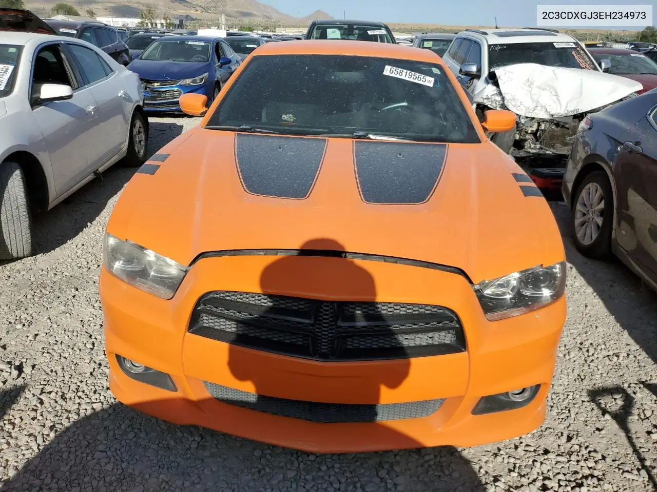 2014 Dodge Charger Super Bee VIN: 2C3CDXGJ3EH234973 Lot: 65819565