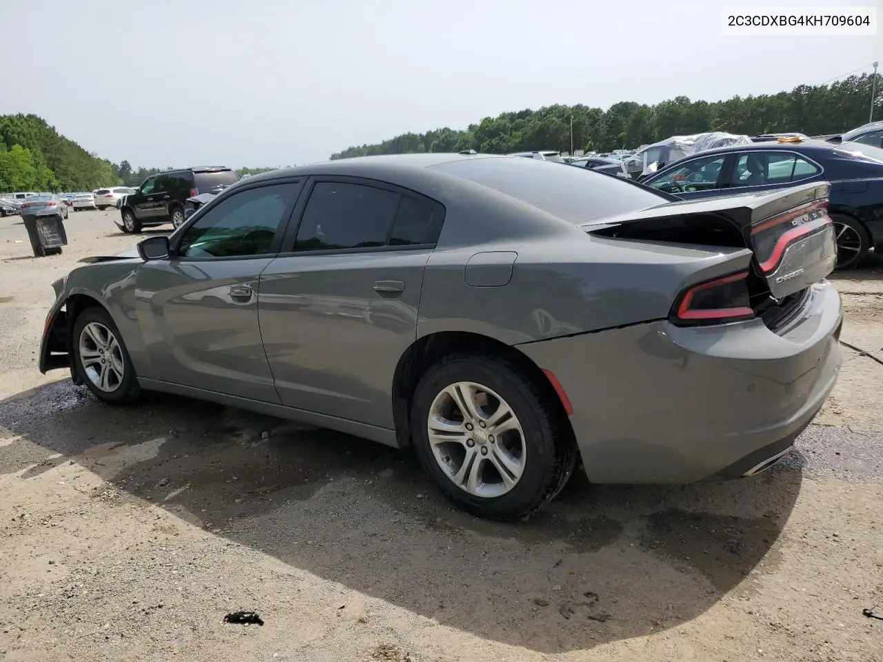 2019 Dodge Charger Sxt VIN: 2C3CDXBG4KH709604 Lot: 56802055