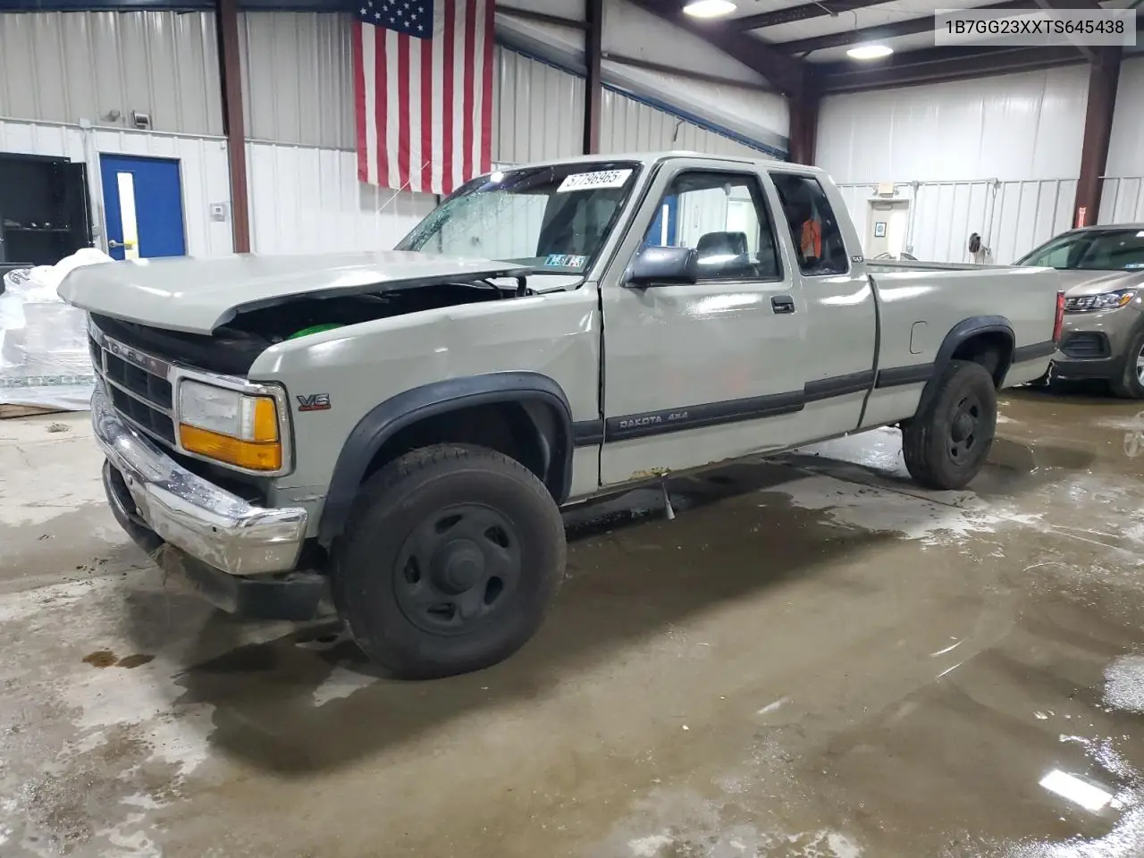 1996 Dodge Dakota VIN: 1B7GG23XXTS645438 Lot: 57796965