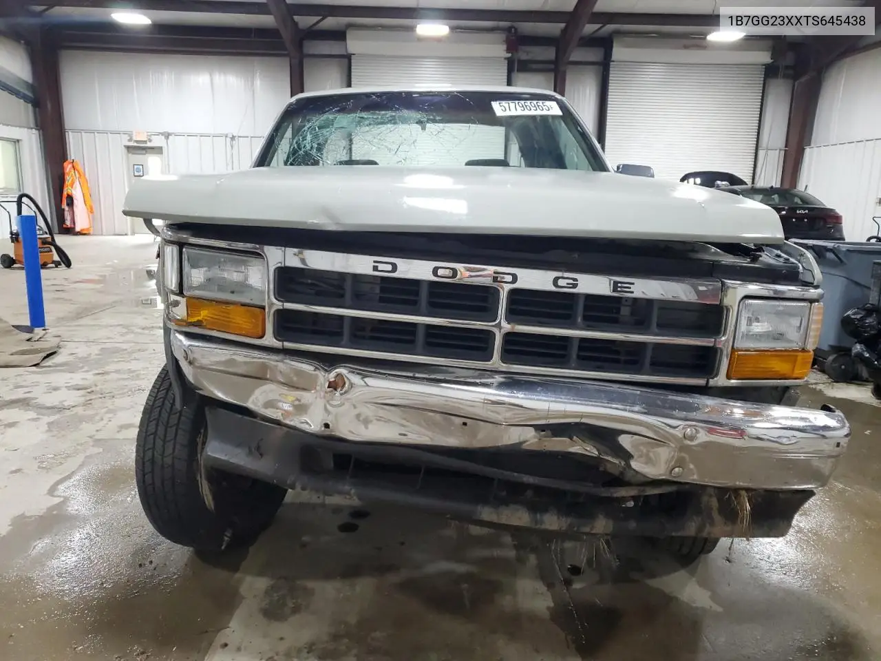 1996 Dodge Dakota VIN: 1B7GG23XXTS645438 Lot: 57796965