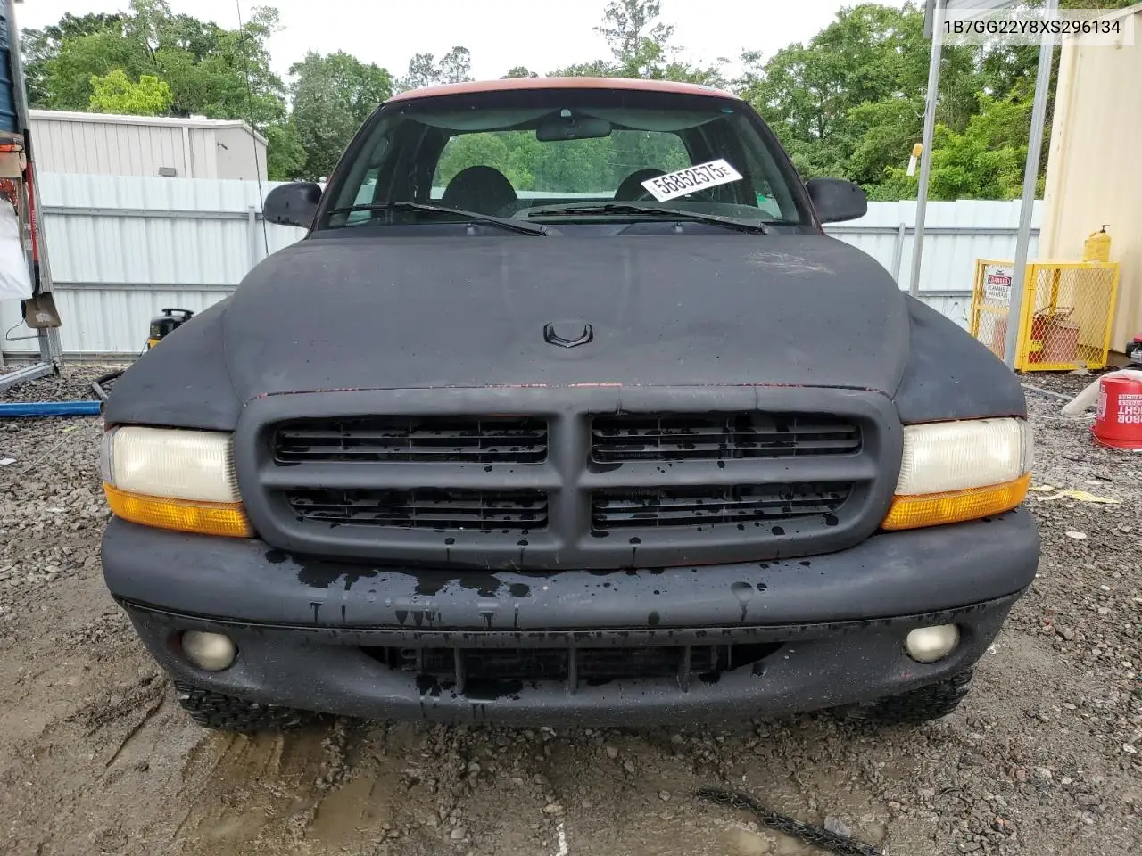1999 Dodge Dakota VIN: 1B7GG22Y8XS296134 Lot: 56852575