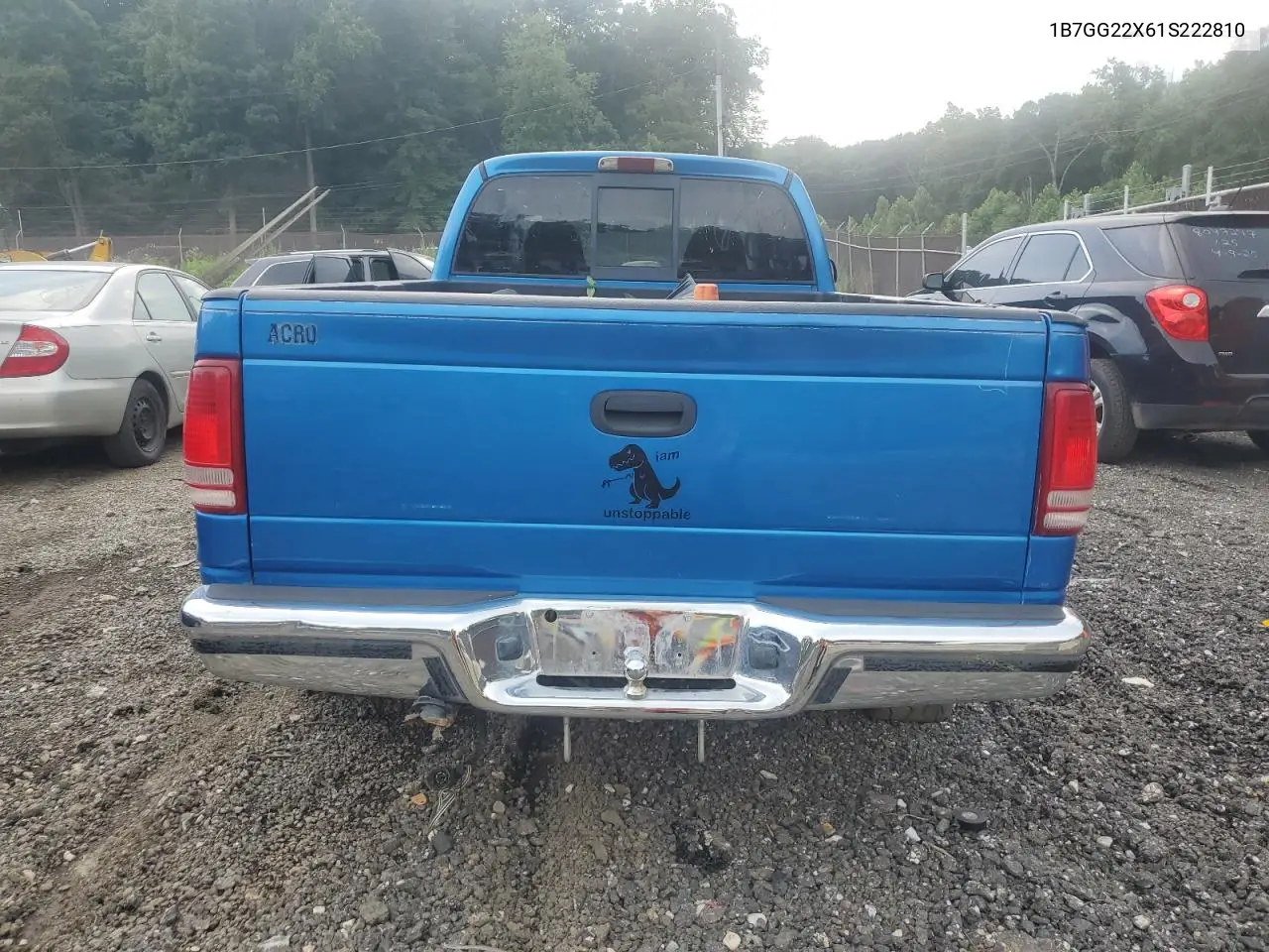 2001 Dodge Dakota VIN: 1B7GG22X61S222810 Lot: 62670635