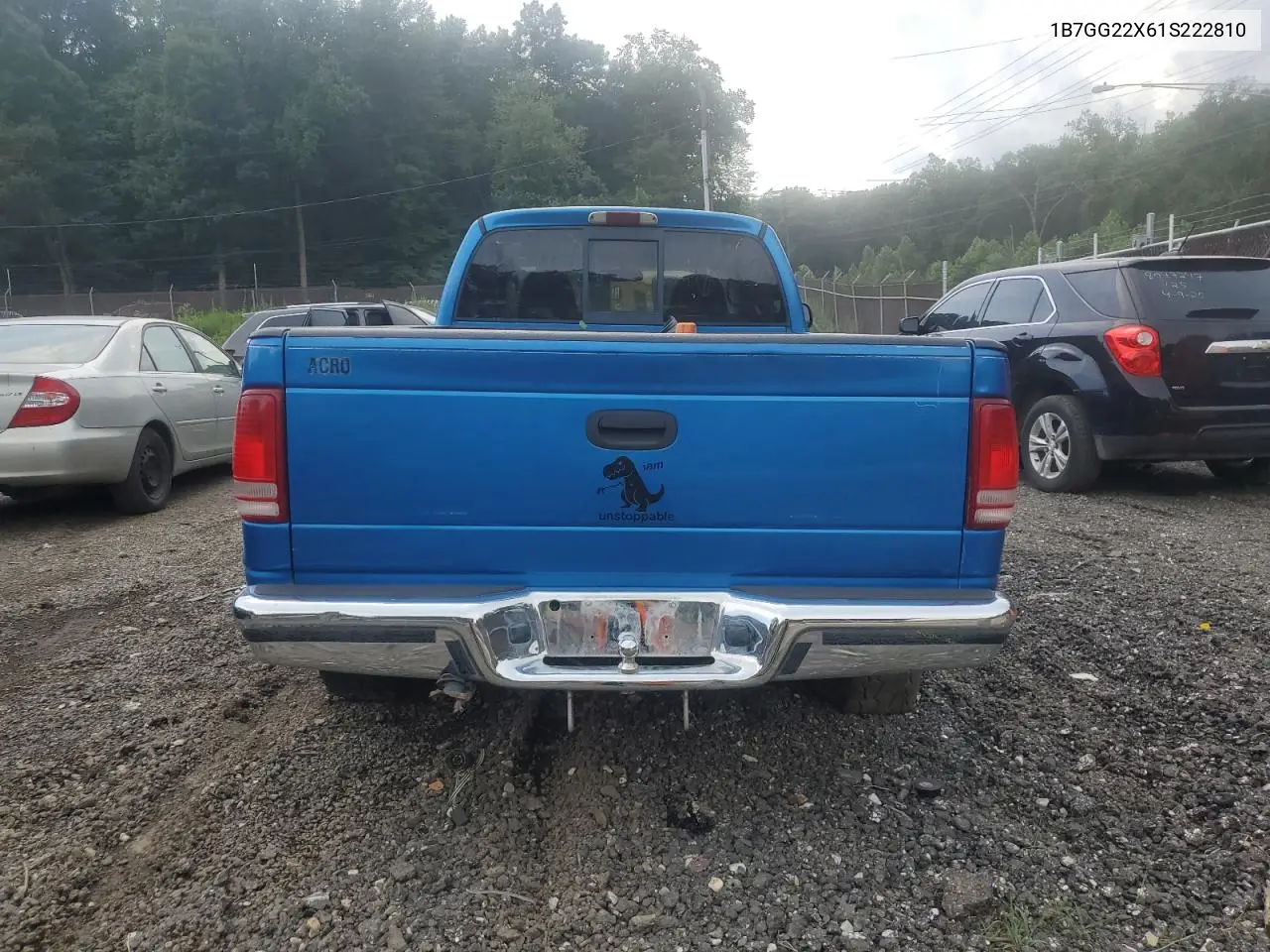 2001 Dodge Dakota VIN: 1B7GG22X61S222810 Lot: 62670635
