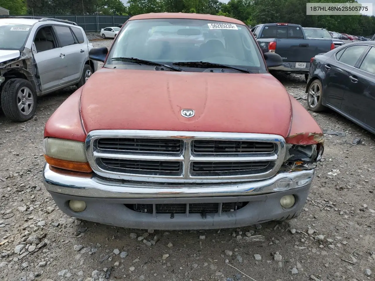 2002 Dodge Dakota Quad Slt VIN: 1B7HL48N62S505775 Lot: 56285235