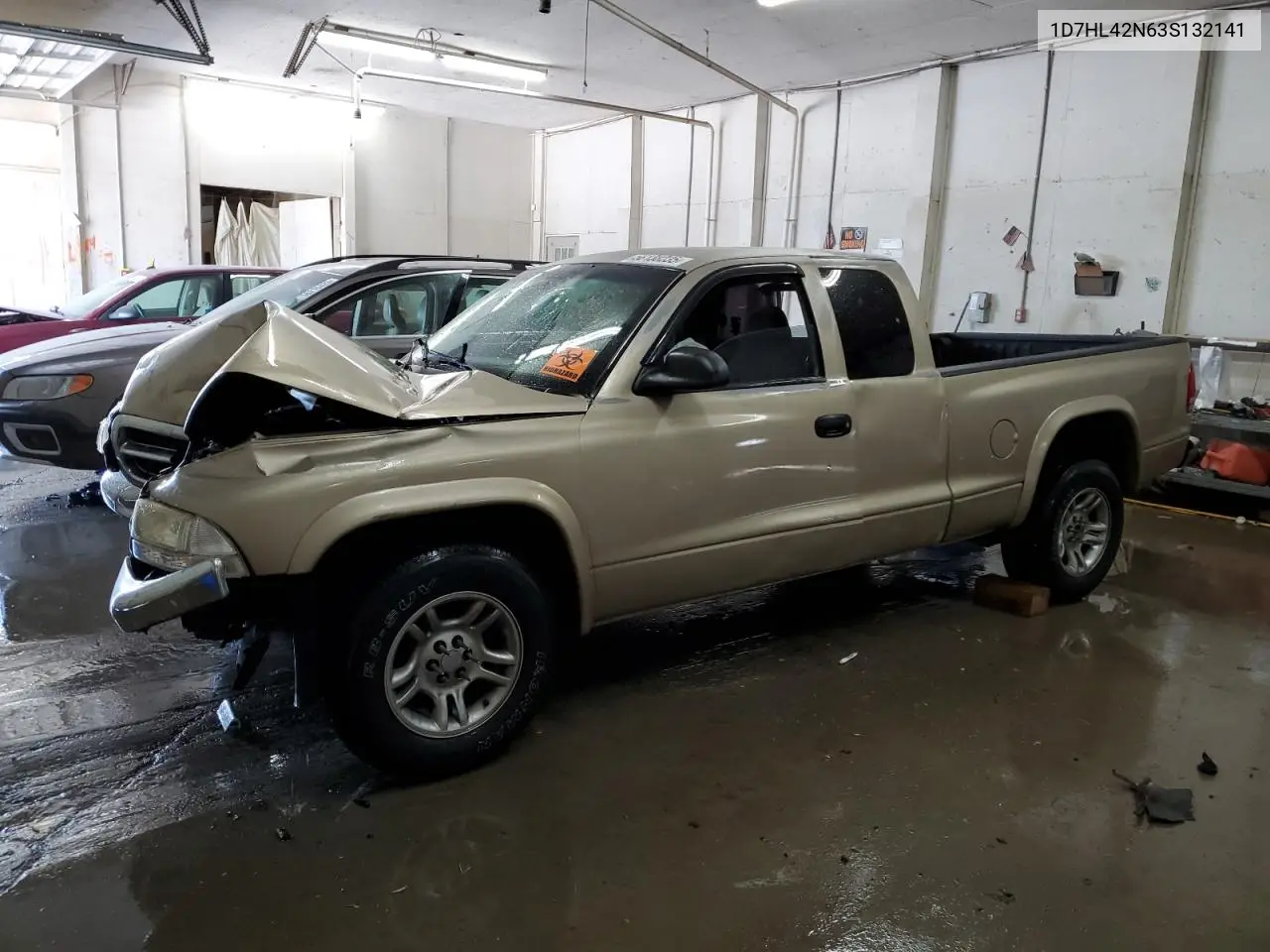 2003 Dodge Dakota Slt VIN: 1D7HL42N63S132141 Lot: 56138235