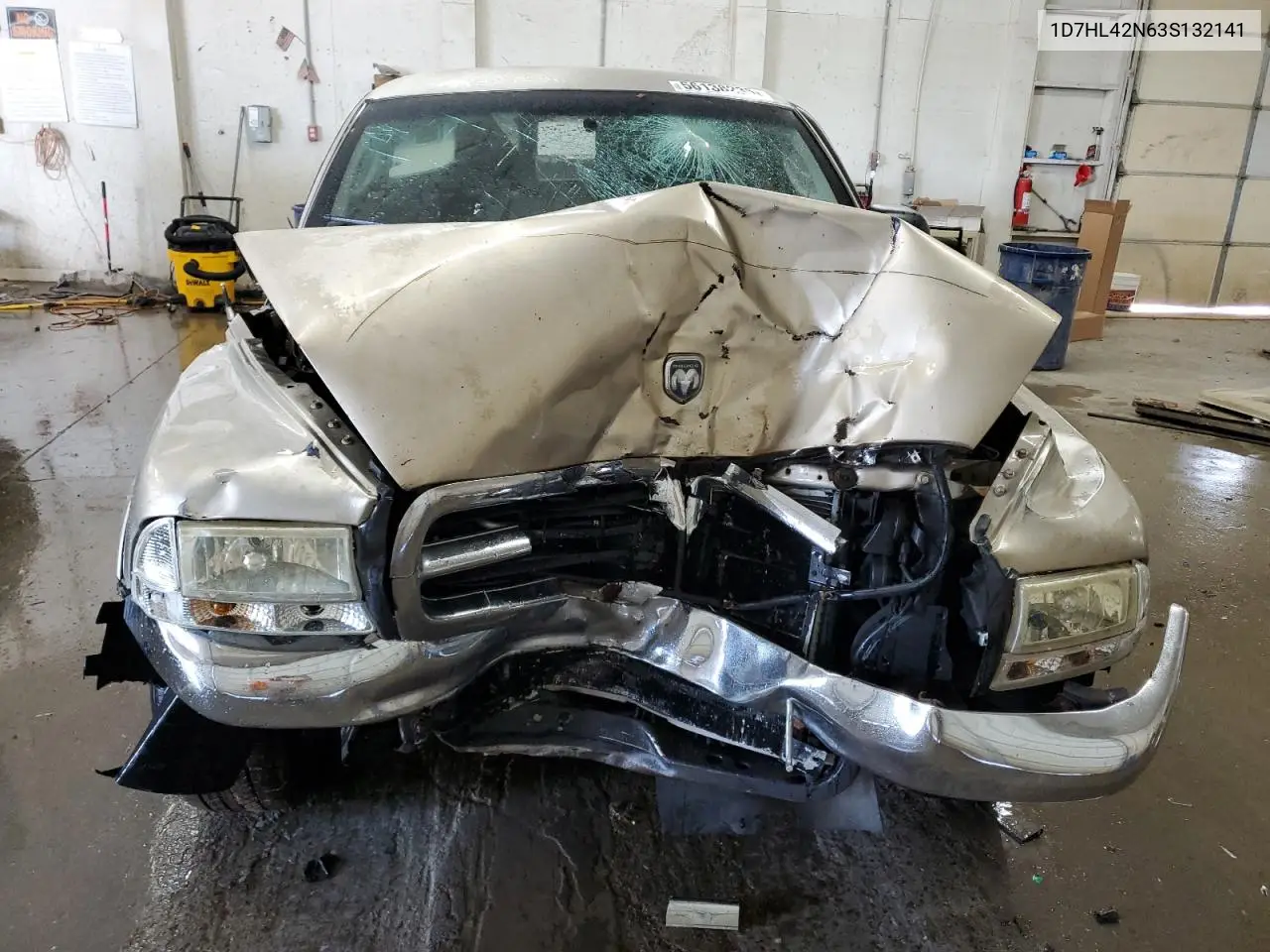 2003 Dodge Dakota Slt VIN: 1D7HL42N63S132141 Lot: 56138235