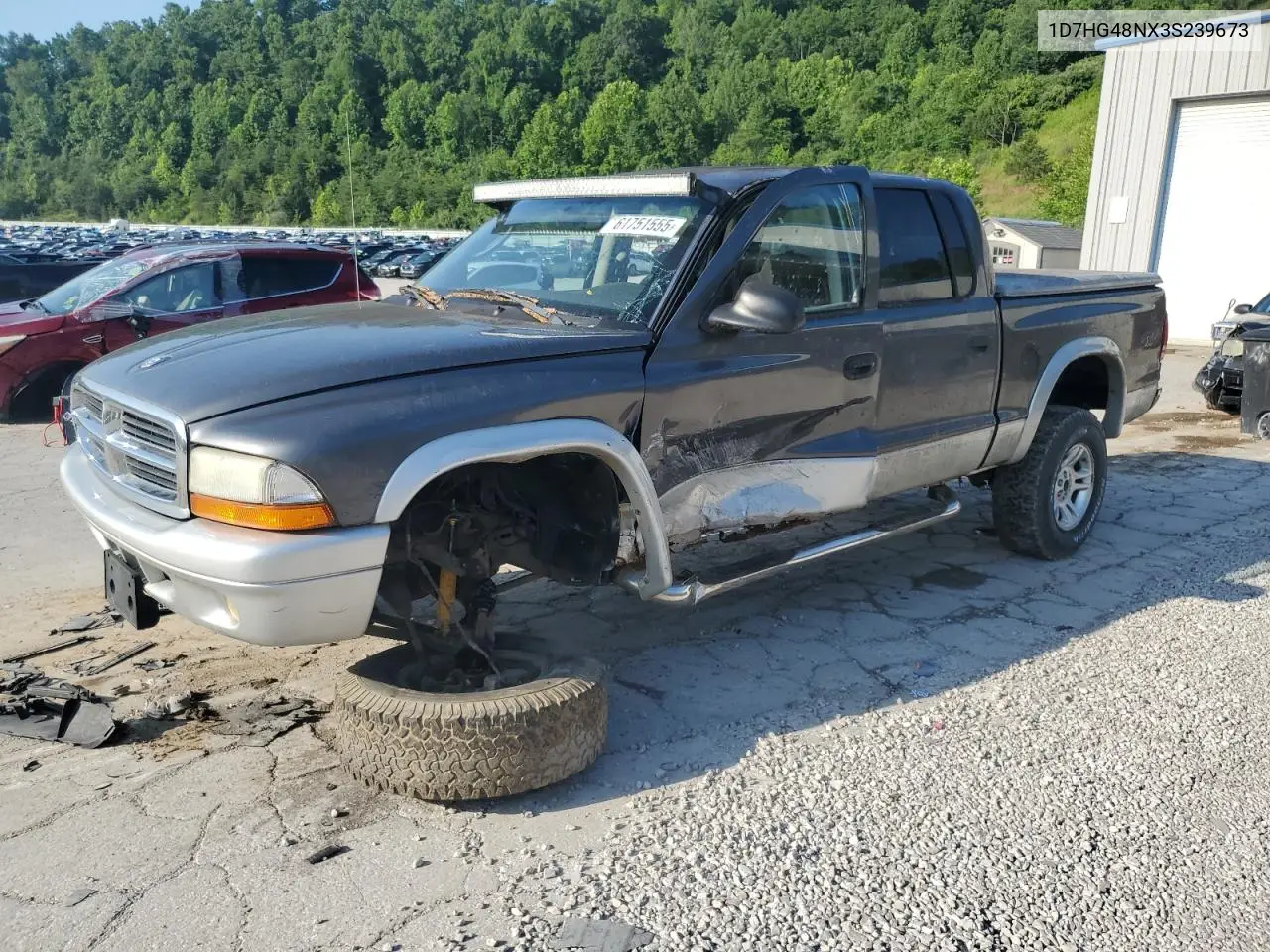 2003 Dodge Dakota Quad Slt VIN: 1D7HG48NX3S239673 Lot: 61751555