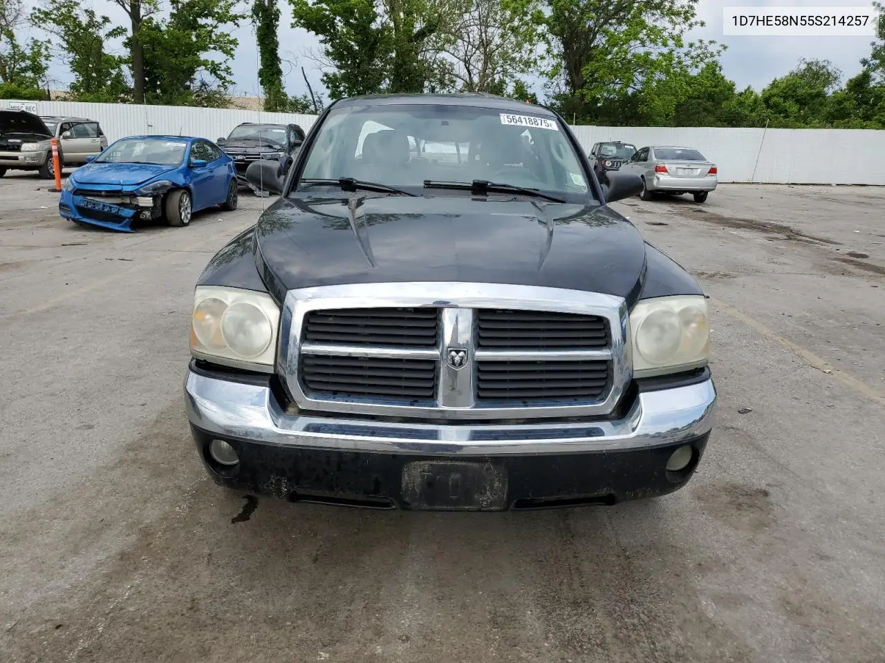 2005 Dodge Dakota Quad Laramie VIN: 1D7HE58N55S214257 Lot: 56418875