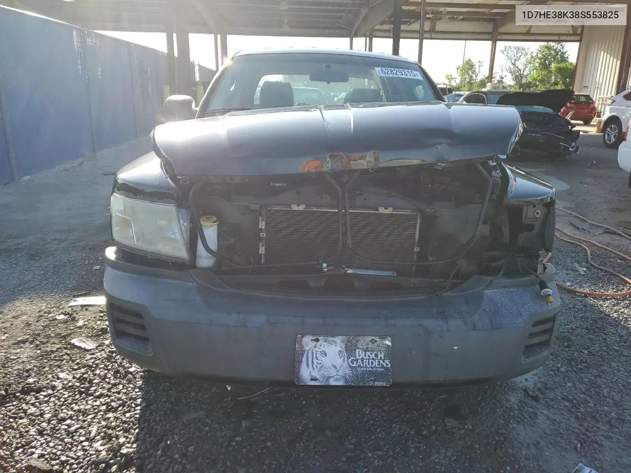 2008 Dodge Dakota Sxt VIN: 1D7HE38K38S553825 Lot: 62829315