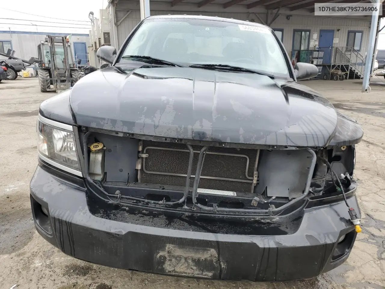 2009 Dodge Dakota Sxt VIN: 1D7HE38K79S736906 Lot: 56034645