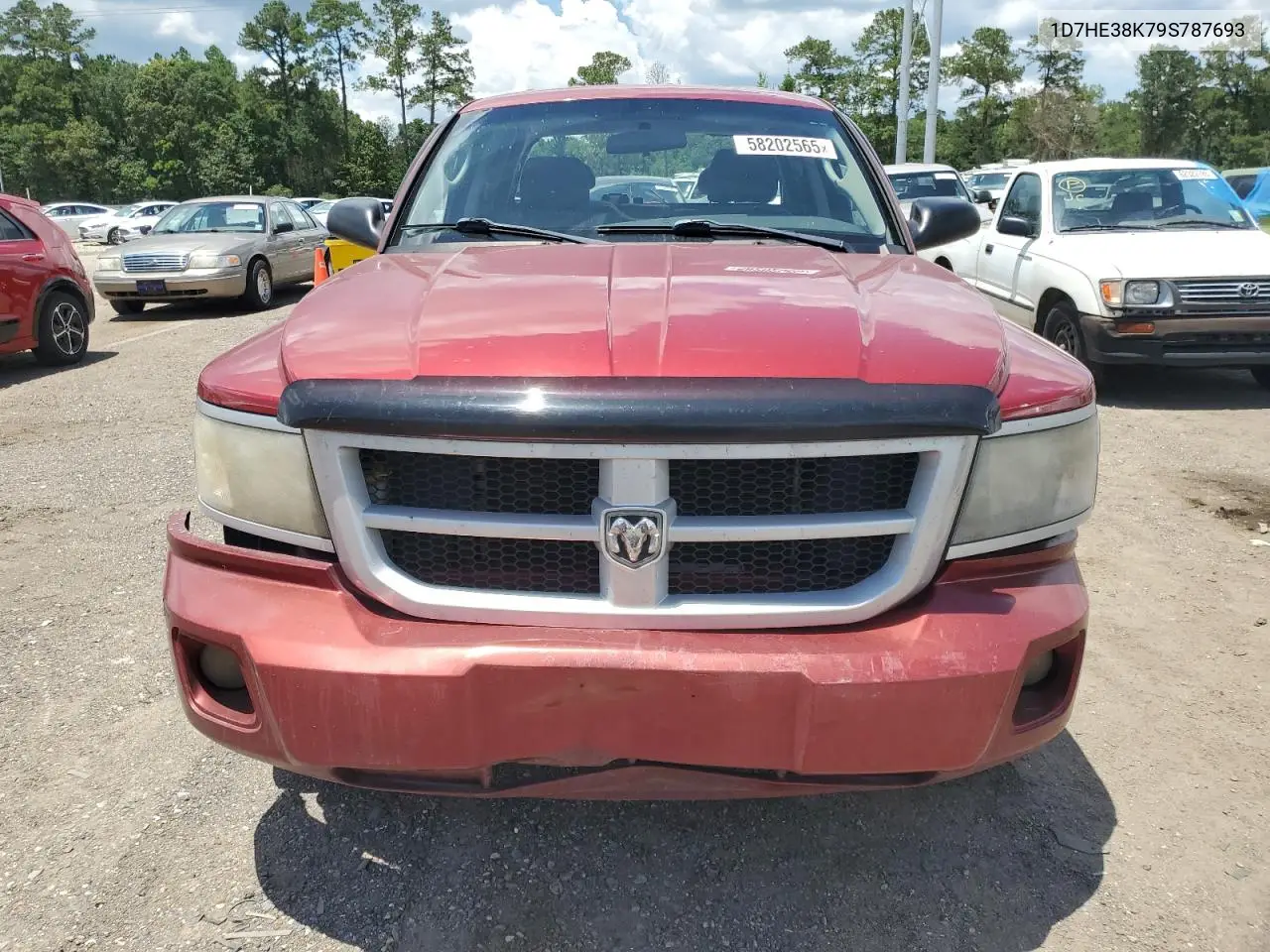 2009 Dodge Dakota Sxt VIN: 1D7HE38K79S787693 Lot: 58202565