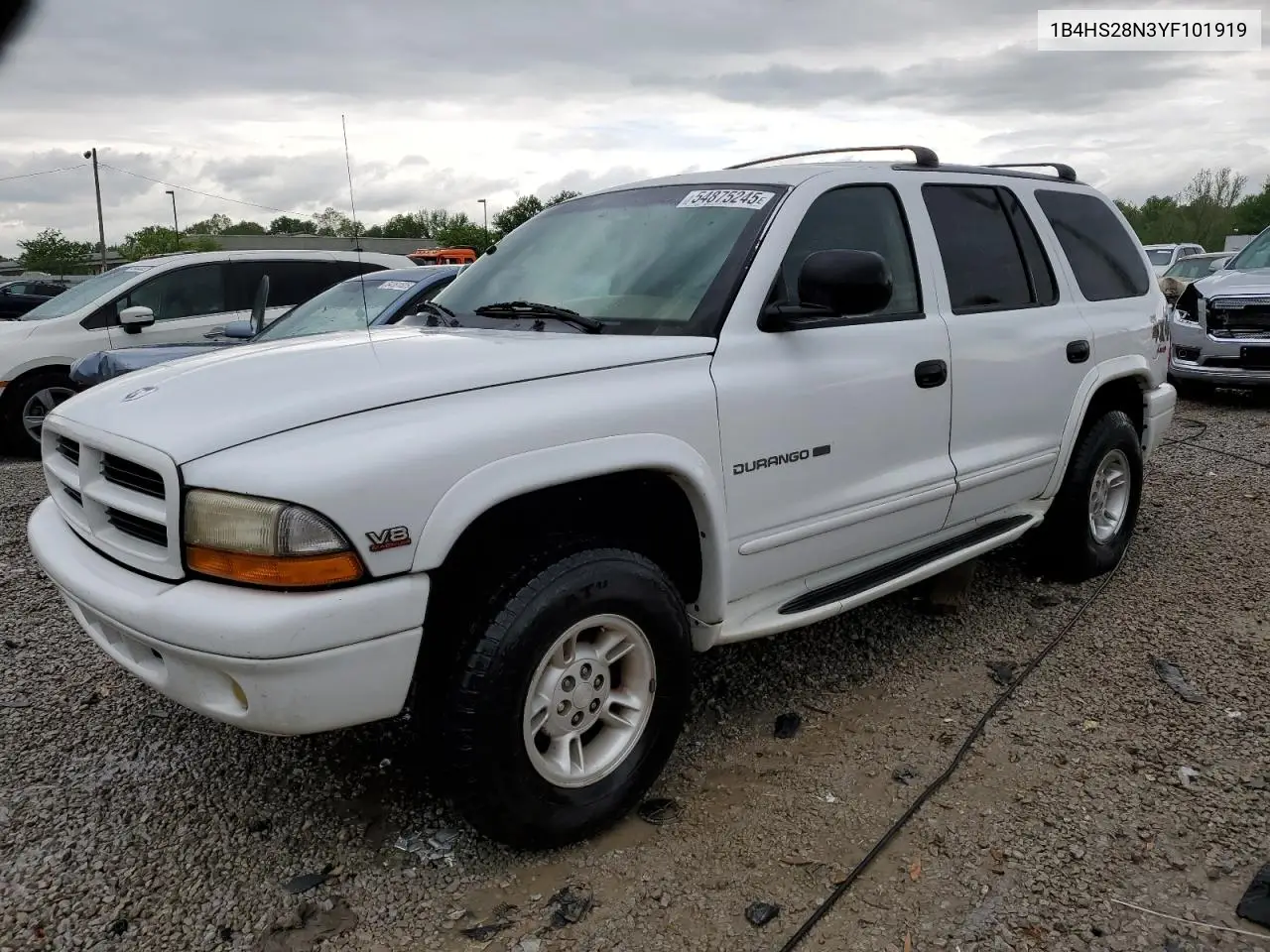 2000 Dodge Durango VIN: 1B4HS28N3YF101919 Lot: 54875245
