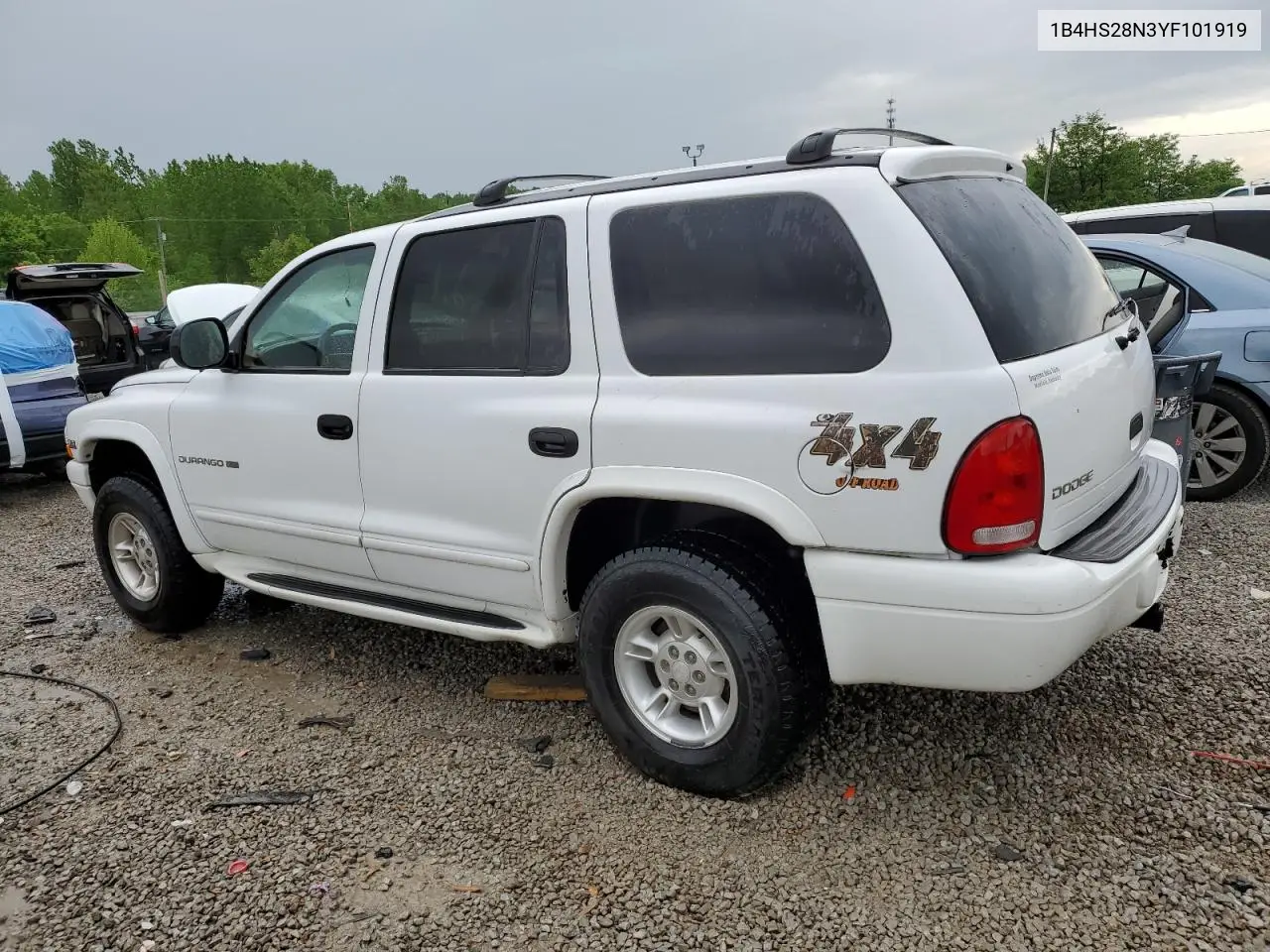 2000 Dodge Durango VIN: 1B4HS28N3YF101919 Lot: 54875245