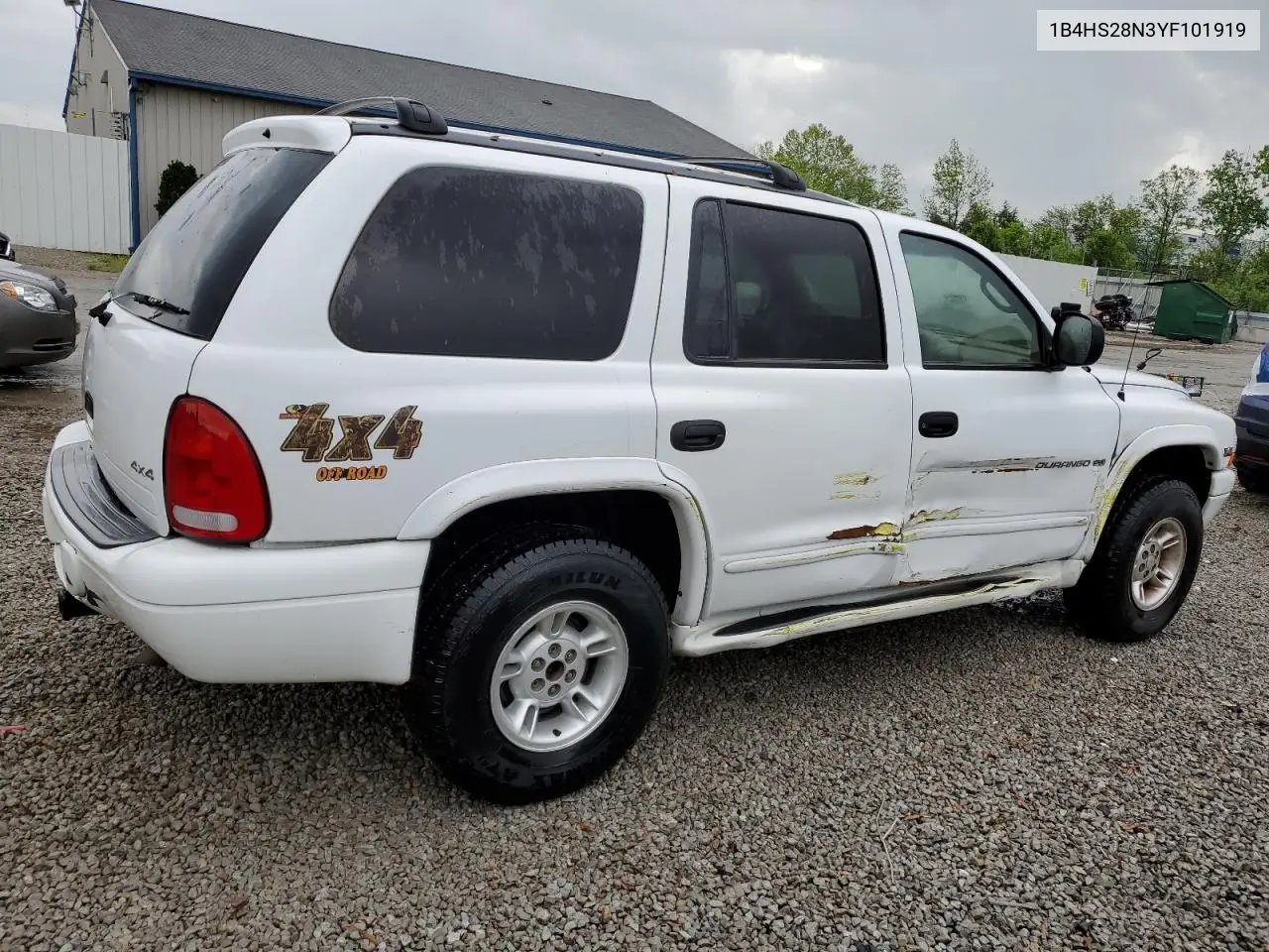 2000 Dodge Durango VIN: 1B4HS28N3YF101919 Lot: 54875245