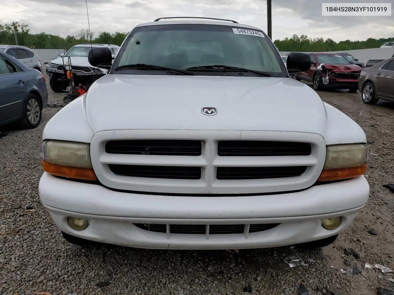 2000 Dodge Durango VIN: 1B4HS28N3YF101919 Lot: 54875245