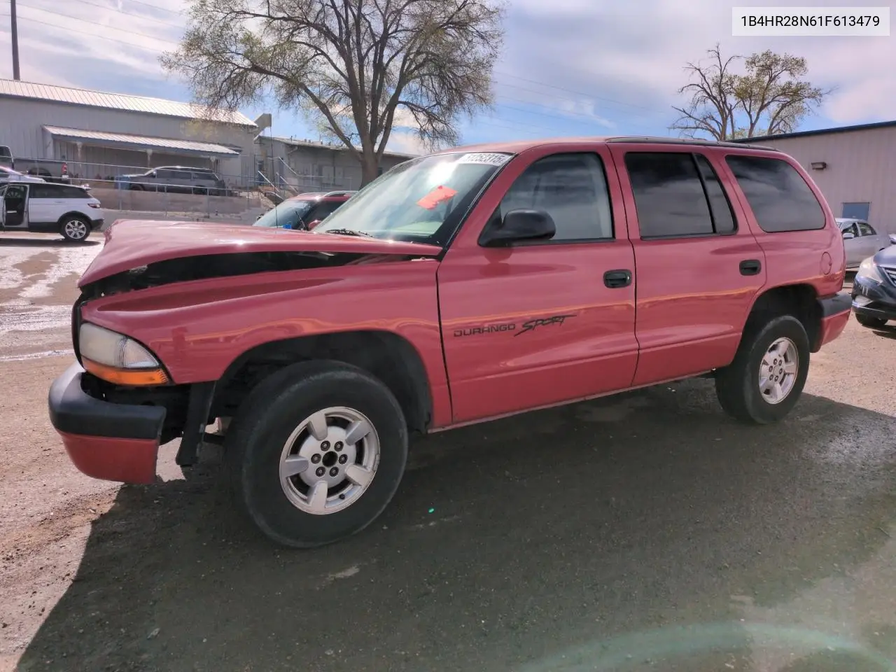 2001 Dodge Durango VIN: 1B4HR28N61F613479 Lot: 51252315