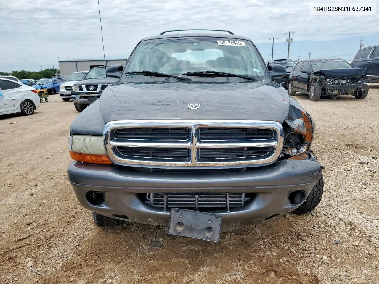 2001 Dodge Durango VIN: 1B4HS28N31F637341 Lot: 60725565