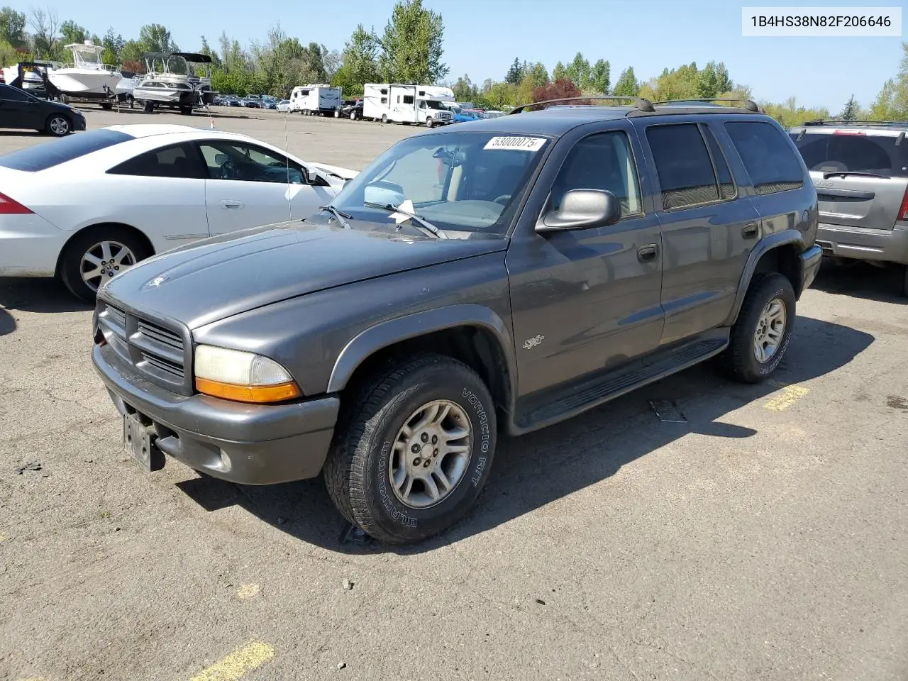 2002 Dodge Durango Sport VIN: 1B4HS38N82F206646 Lot: 53000075