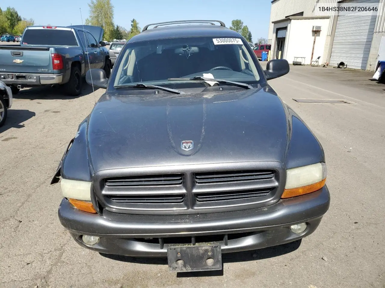 2002 Dodge Durango Sport VIN: 1B4HS38N82F206646 Lot: 53000075