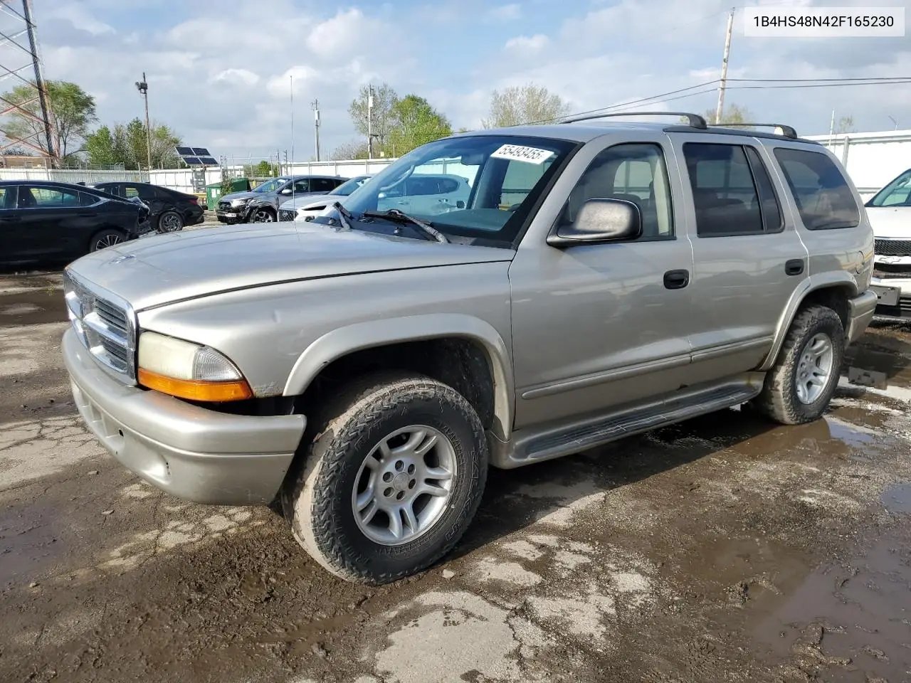 2002 Dodge Durango Slt VIN: 1B4HS48N42F165230 Lot: 55493455