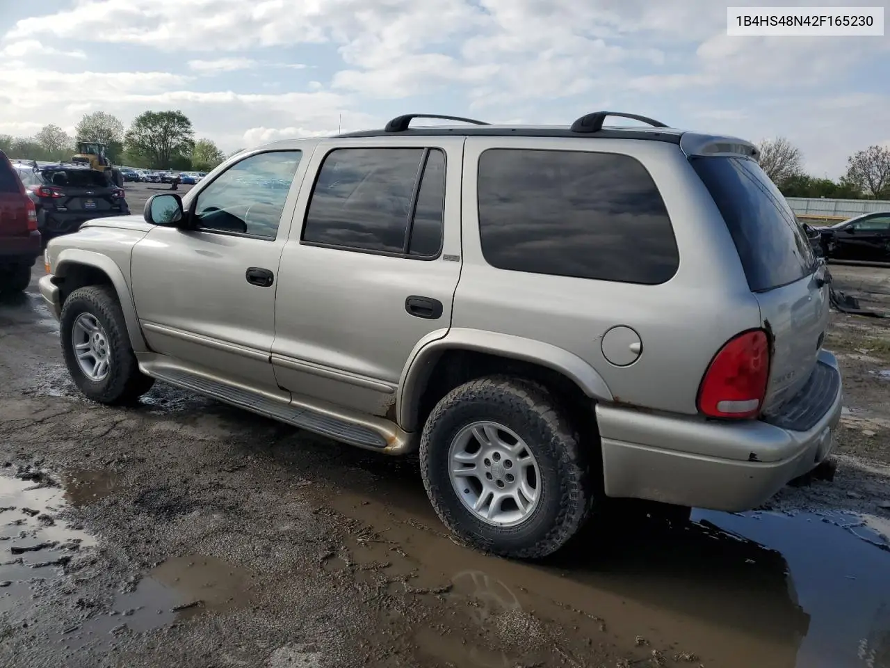 2002 Dodge Durango Slt VIN: 1B4HS48N42F165230 Lot: 55493455