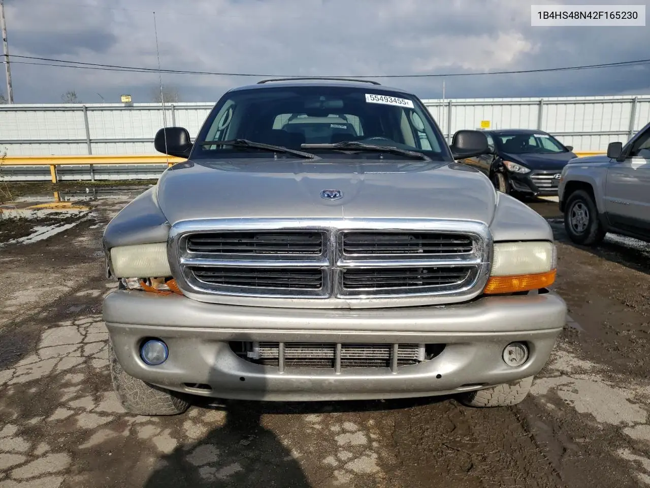 2002 Dodge Durango Slt VIN: 1B4HS48N42F165230 Lot: 55493455