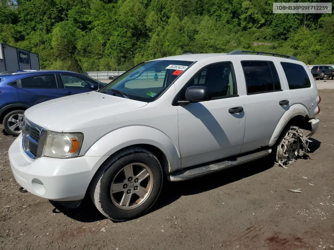 2009 Dodge Durango Se VIN: 1D8HB38P09F712259 Lot: 56363425