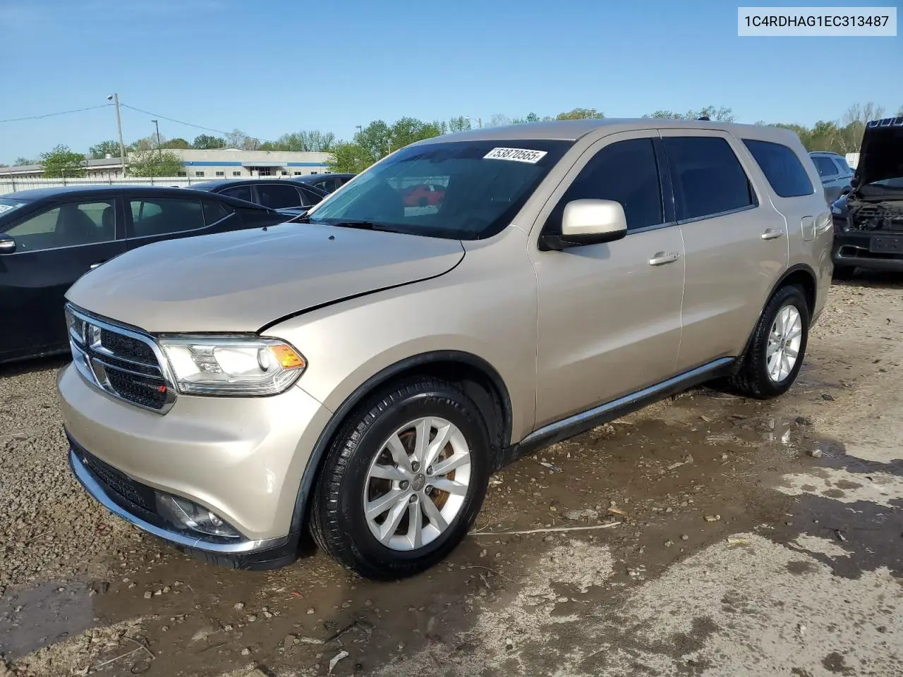 2014 Dodge Durango Sxt VIN: 1C4RDHAG1EC313487 Lot: 53870565