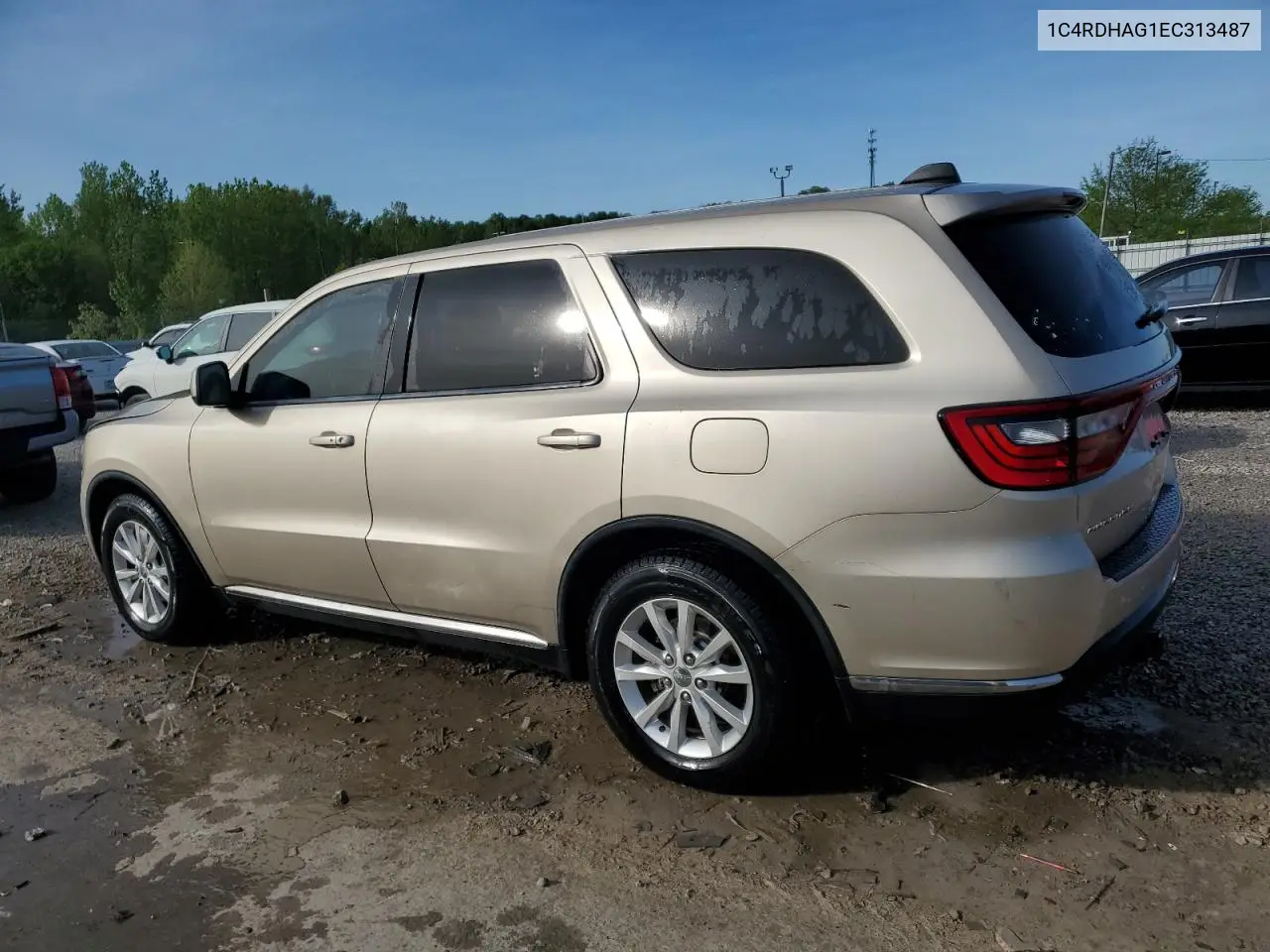 2014 Dodge Durango Sxt VIN: 1C4RDHAG1EC313487 Lot: 53870565