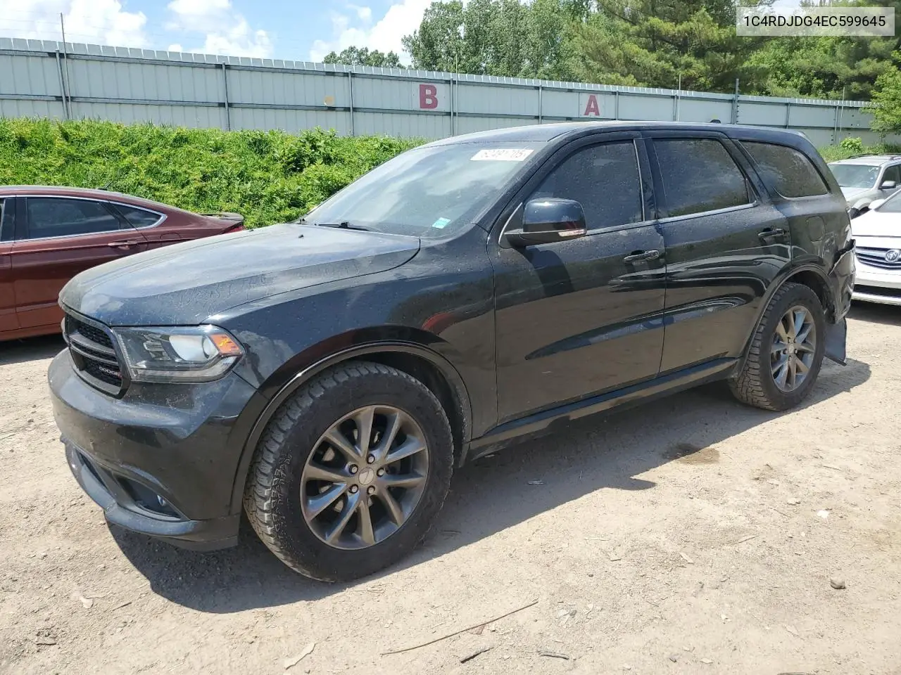 2014 Dodge Durango Limited VIN: 1C4RDJDG4EC599645 Lot: 62491705