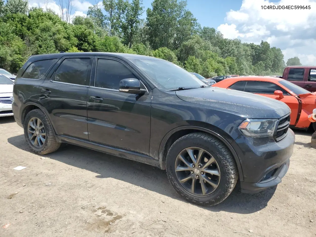 2014 Dodge Durango Limited VIN: 1C4RDJDG4EC599645 Lot: 62491705