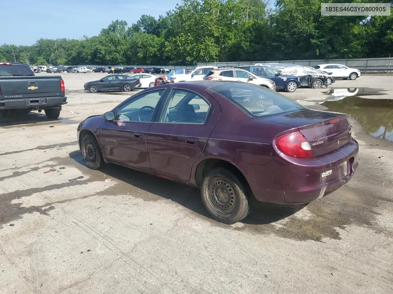 2000 Dodge Neon Base VIN: 1B3ES46C3YD800905 Lot: 62514185